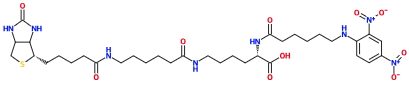 (image for) MC085445 DNP-X-Biocytin-X acid